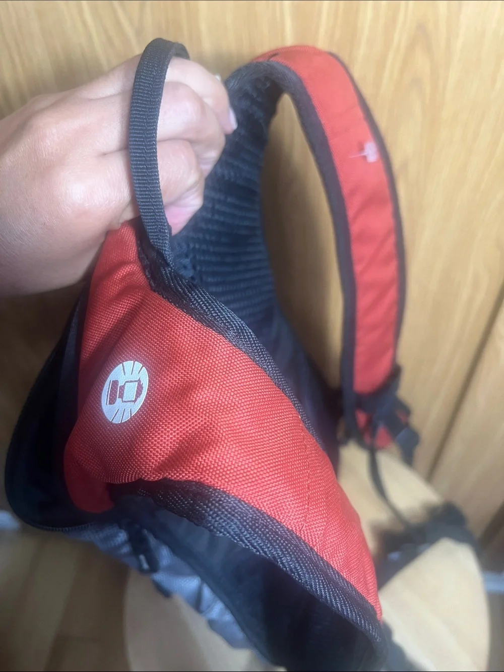 REVEL 8L Men's Red and Gray Daypack